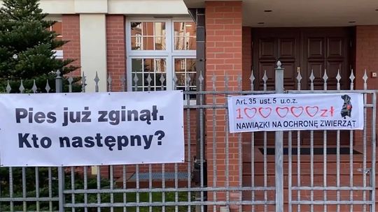 Ponowny proces ws. byłego senatora Bonkowskiego w sprawie znęcania się nad psem