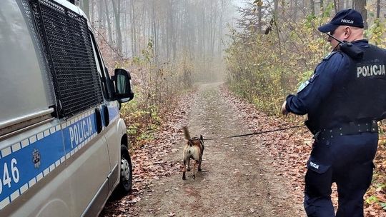 Pościg za zbiegłym przestępcą
