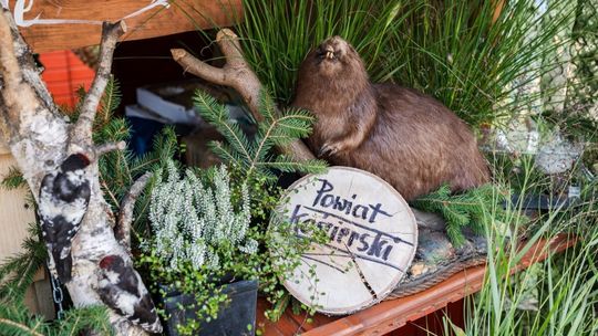 Powiat Kościerski doceniony na Pomorskim Święcie Plonów