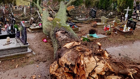 Powiat kościerski po wichurach