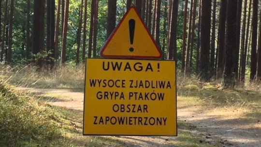 Powiat Kościerski."Uwaga! Wysoce zjadliwa grypa ptaków"