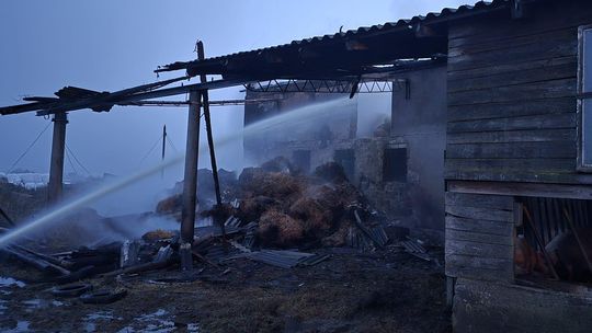 Pożar chlewni w Karsinie. Straty sięgają 2 milionów złotych