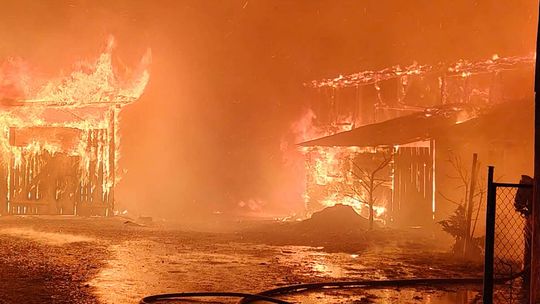 Pożar przy ul. 8 Marca. Policjanci wynieśli z domu 94-letnią kobietę Pożar przy ul. 8 Marca. Policjanci wynieśli z domu 94-letnią kobietę