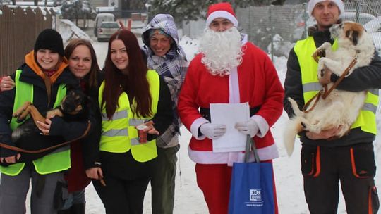 Radosne Mikołajki w kościerskim schronisku
