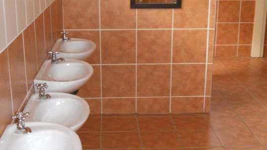 Raport: stan toalet w publicznych szkołach podstawowych w Polsce