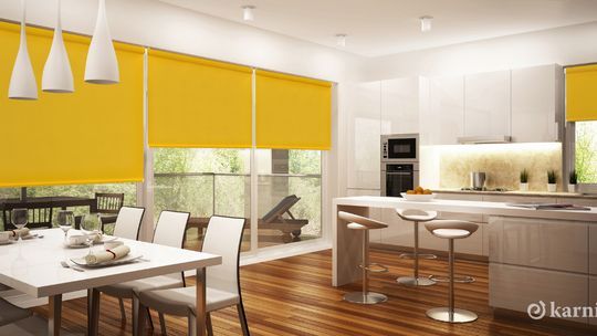 Rolety do naszego domu - jakie wybrać?