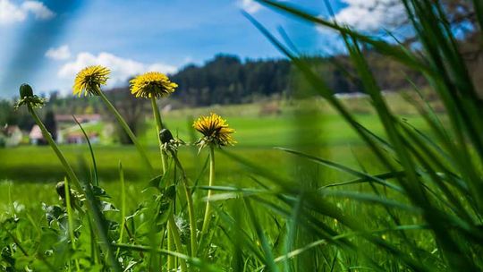 Rozpoczęło się astronomiczne lato. Dziś najdłuższy dzień w roku