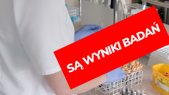 Są wyniki badań uczniów z Hiszpanii i Niemiec