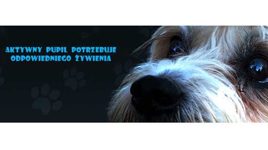 Sklep zoologiczny gigaKARMA - wszystko dla Twojego pupila!