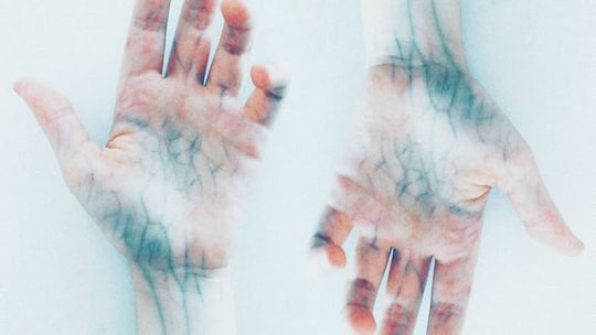 Skuteczny flebolog z prawdziwego znaczenia - dbajmy o nasze żyły codziennie