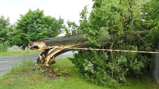 Skutki czwartkowej burzy