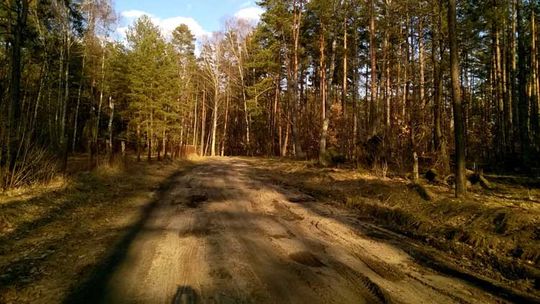 Stanowisko Nadleśnictwa w sprawie trasy do Garczyna