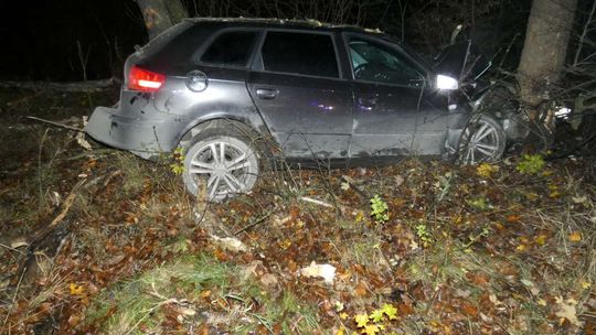 Stracił panowanie nad pojazdem i uderzył w drzewo
