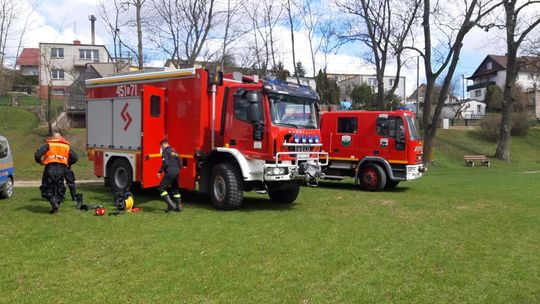 Strażacy uratowali topiącą się sarnę