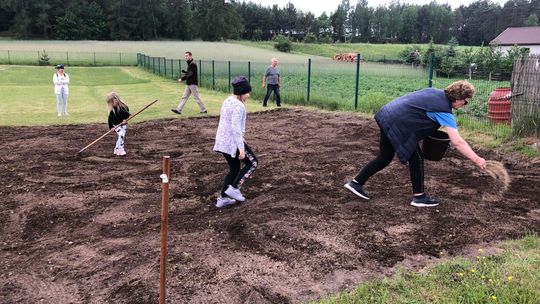 Stworzyli raj dla owadów