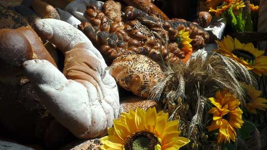 Święto Chleba na rynku