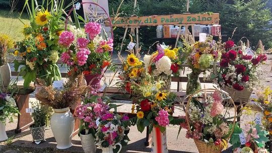 Święto ziół i kwiatów na rynku w Kościerzynie – weź udział w konkursie