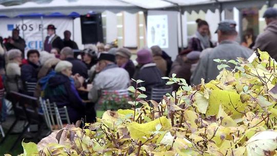 Świętowanie seniorów