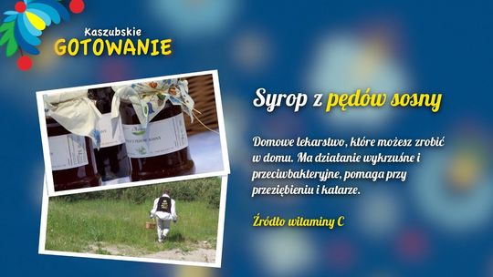 Syrop z pędów sosny - Kaszubskie Gotowanie