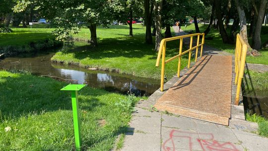 Szczury się schowały, "kaczkomat" zniknął, bałagan pozostał 