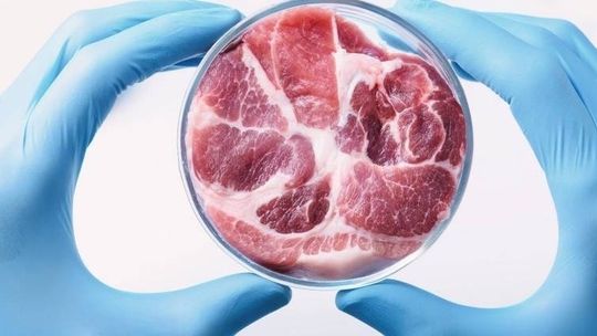 Sztuczne mięso niebawem w sklepach