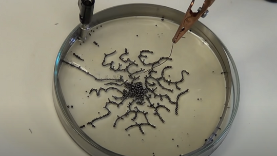 TESLAFOREZA: Oto, jak mikrotechnologia montuje się samoistnie w organizmie ludzkim