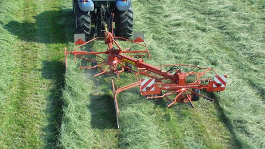 Tragedia w Dziemianach Tragedia w Dziemianach