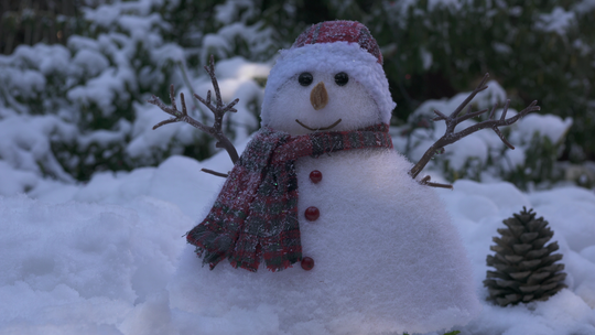 Trwa konkurs na najlepszego bałwana ze śniegu. Przysłano już 350 zdjęć