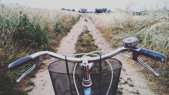 Trzech pijanych rowerzystów jechało po alkohol. Okazało się ,że byli braćmi 