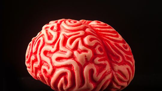 Umysł jest polem walki przyszłości