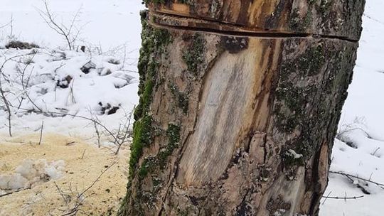 Uwaga! Śmiertelne zagrożenie na drodze