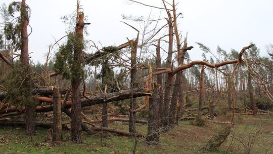 Uwaga! W nocy wiatr o sile nawet 105 km/h