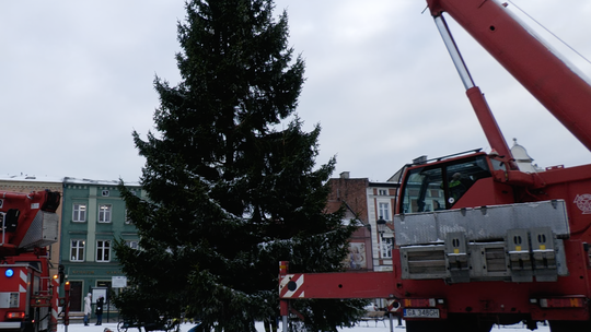 W Kościerzynie ustawiono świąteczne choinki