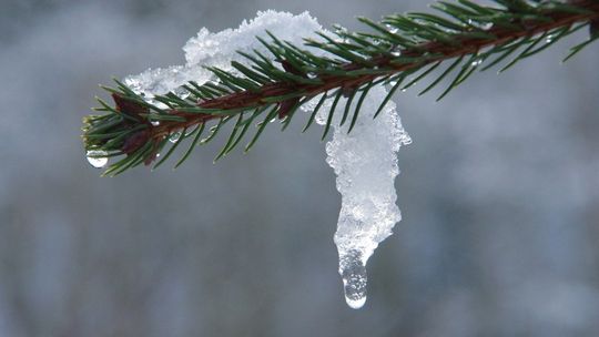 W sylwestra deszcz i 8 stopni