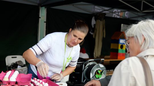 Więcej gości niż przed rokiem. Drugi Pomorski Ekofestiwal na kościerskim Rynku