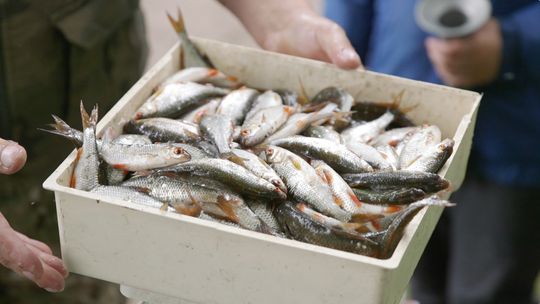 "Wydarzenia" 20.07.2018