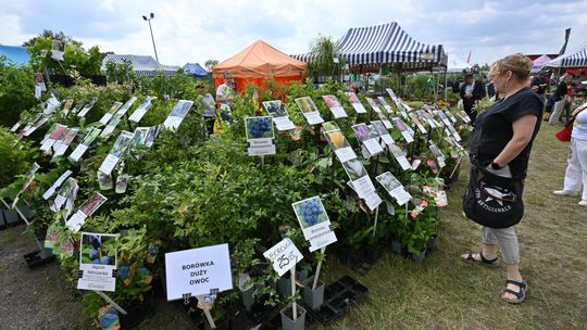 XXXII Pomorskie Agro Targi Lubań 2025: największe wydarzenie rolnicze na Pomorzu już 7-8 czerwca