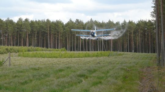 Zakaz wstępu do lasów! Będą opryski