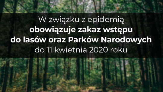 Zakaz wstępu do lasu !