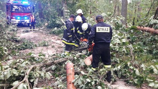 Zakończyło się usuwanie zniszczeń po nawałnicy 2017 r