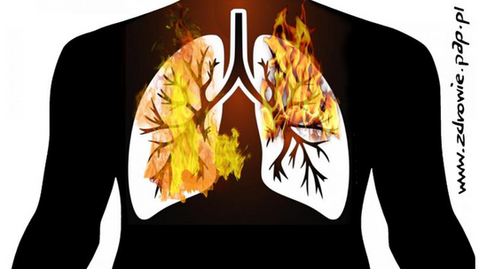 Zanieczyszczenie powietrza bardziej szkodliwe niż wcześniej sądzono