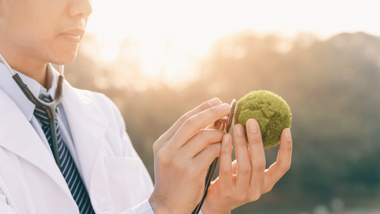 Zaproszenie na Światowy Dzień Zdrowia 2024