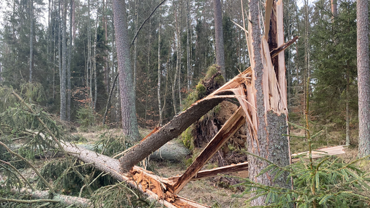 Zbliża się potężna wichura