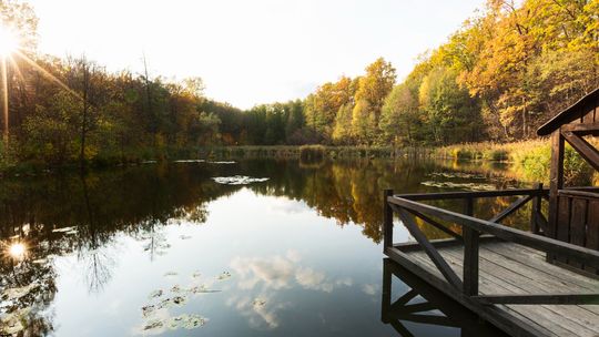 Złote liście, srebrne jezioro - odkryj jesienny urok SPA w Hotelu Aubrecht!