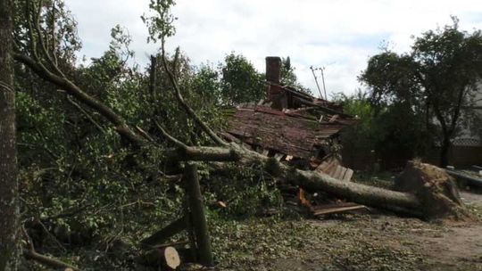 ZOBACZ REPORTAŻ: Kaszuby walczą z efektami nawałnicy