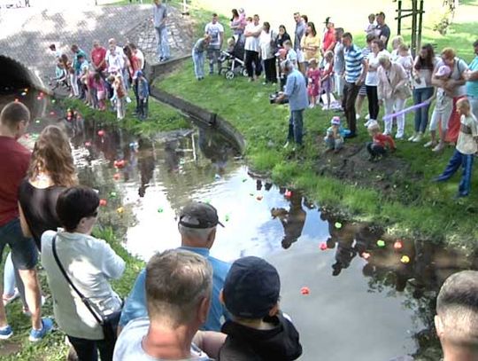 200 kaczek popłynęło rzeką Bibrową