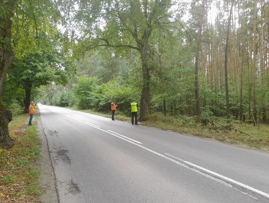 Badali miejsce śmiertelnego wypadku