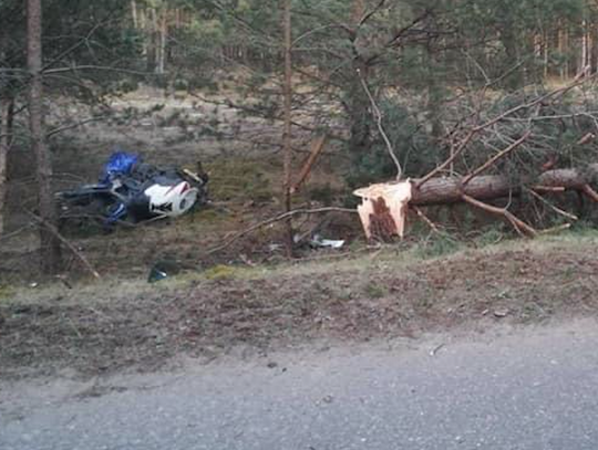 Borsk. Motocyklista uderzył w drzewo i poniósł śmierć na miejscu