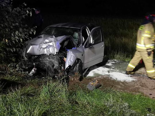 Dramat na drodze 221: 24-latek uderzył w drzewo - Policja wyjaśnia przyczyny wypadku