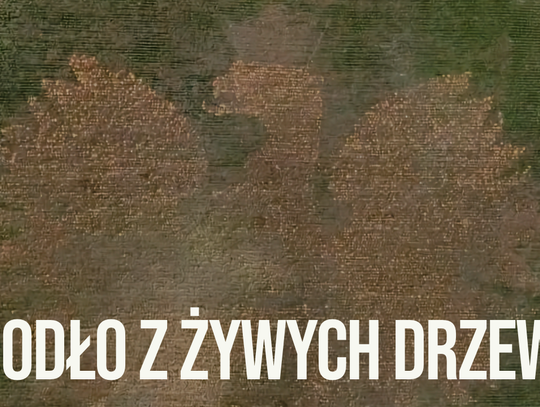 Godło ze 100 tysięcy drzew